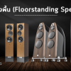 ลำโพงตั้งพื้น (Floorstanding Speakers)