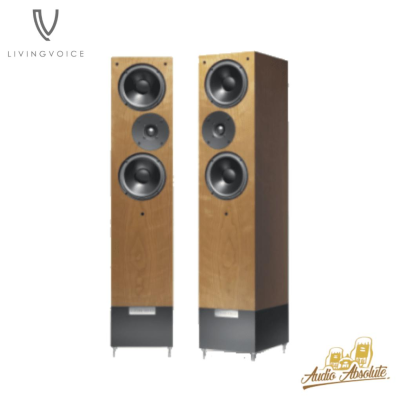 Auditorium R25A Cherry