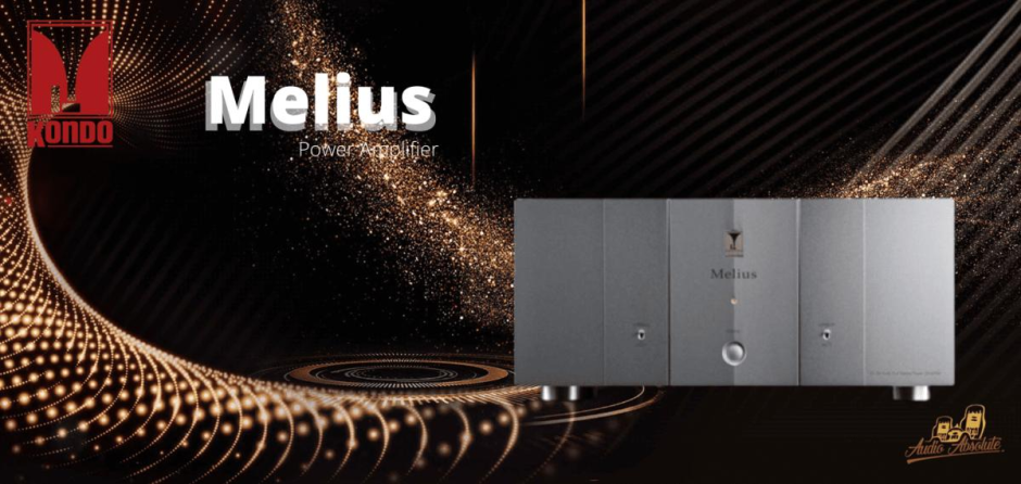 Kondo Audio Note Melius